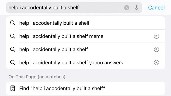 How…does One Accidentally Build A Shelf Tho????