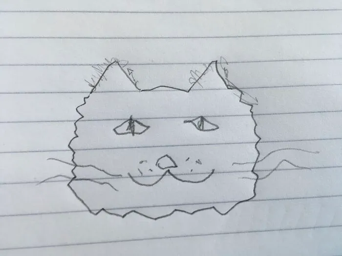 A Bit Kitty