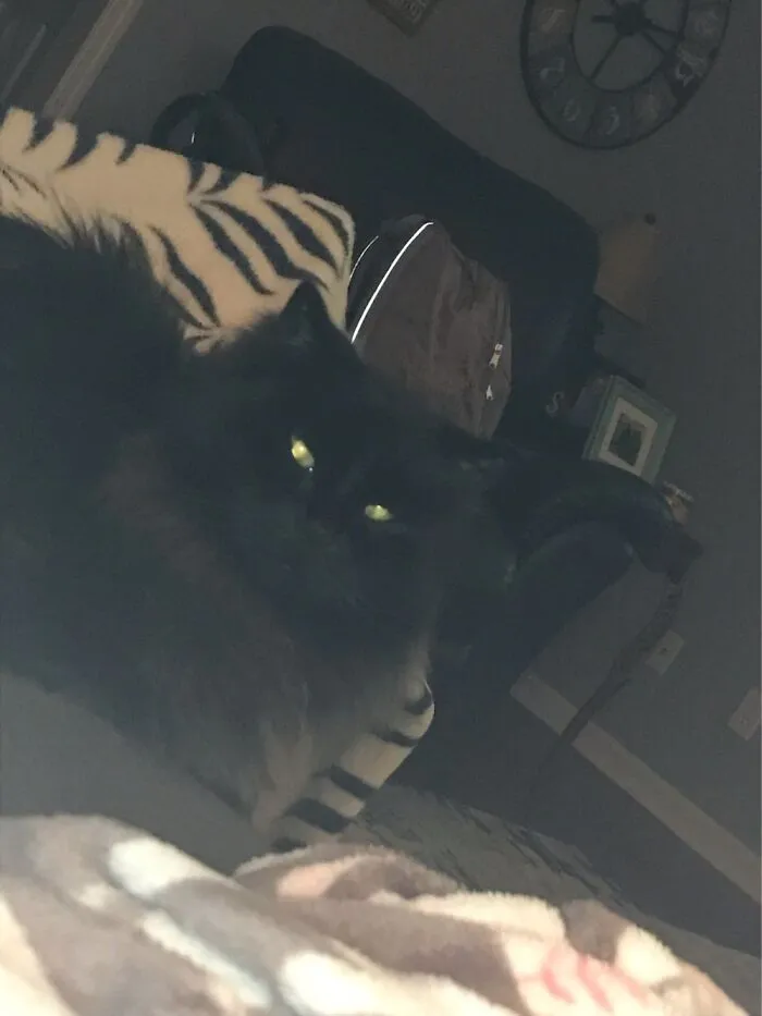 Black Jack