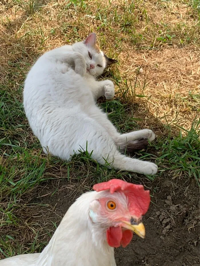 Photobomb…
