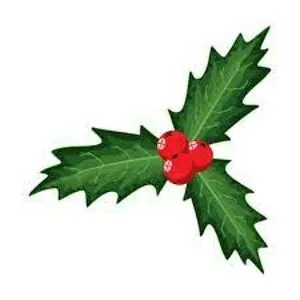Holly Berry