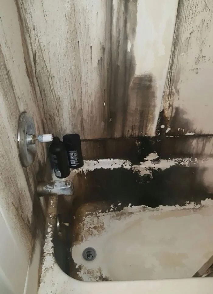 La bañera de mi compañero de piso