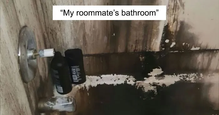 50 Times People Realized They’re Living With A ‘Monster’ And Just Had To Share The Evidence