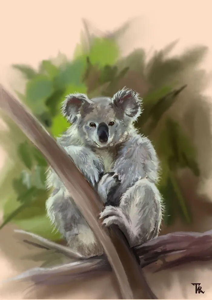 I Illustrated Animals In Their Natural Surroundings (19 Pics)