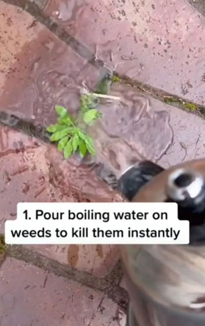 This TikTok Account Shares Home Hacks That Are Easy Yet Significant, And Here Are 30 Of The Most Helpful Ones (New Posts)
