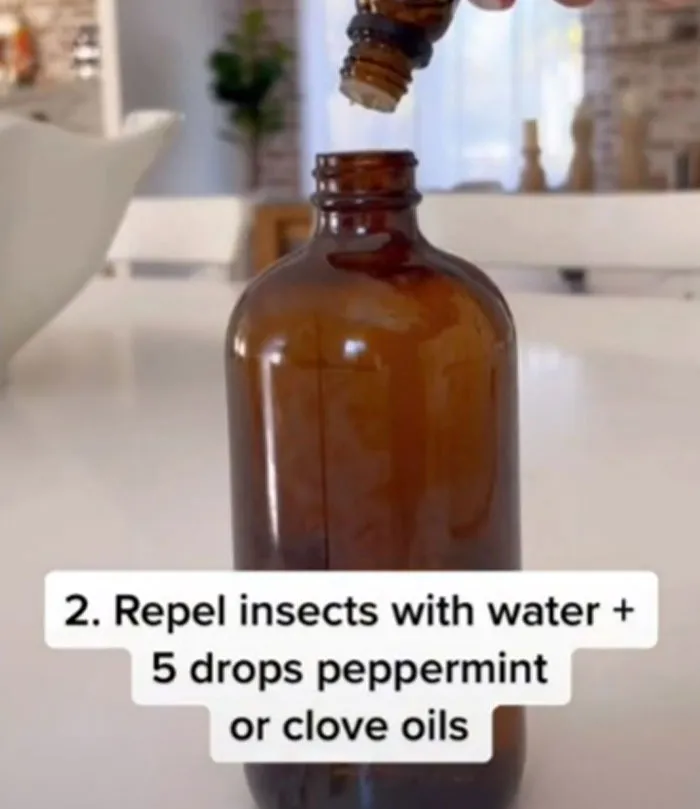 This TikTok Account Shares Home Hacks That Are Easy Yet Significant, And Here Are 30 Of The Most Helpful Ones (New Posts)