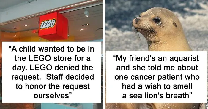 40 Of The Strangest Wishes That The Make-A-Wish Foundation Actually Granted, As Shared By People Online