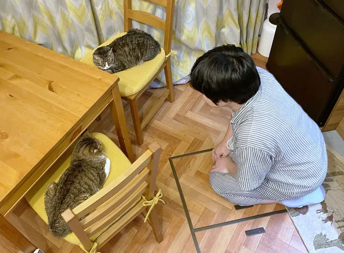 A Person Who Sits On The Floor After Having His Chair Stolen By His Cat