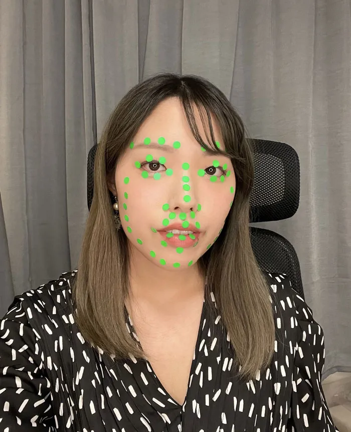Facial Landmark Detection