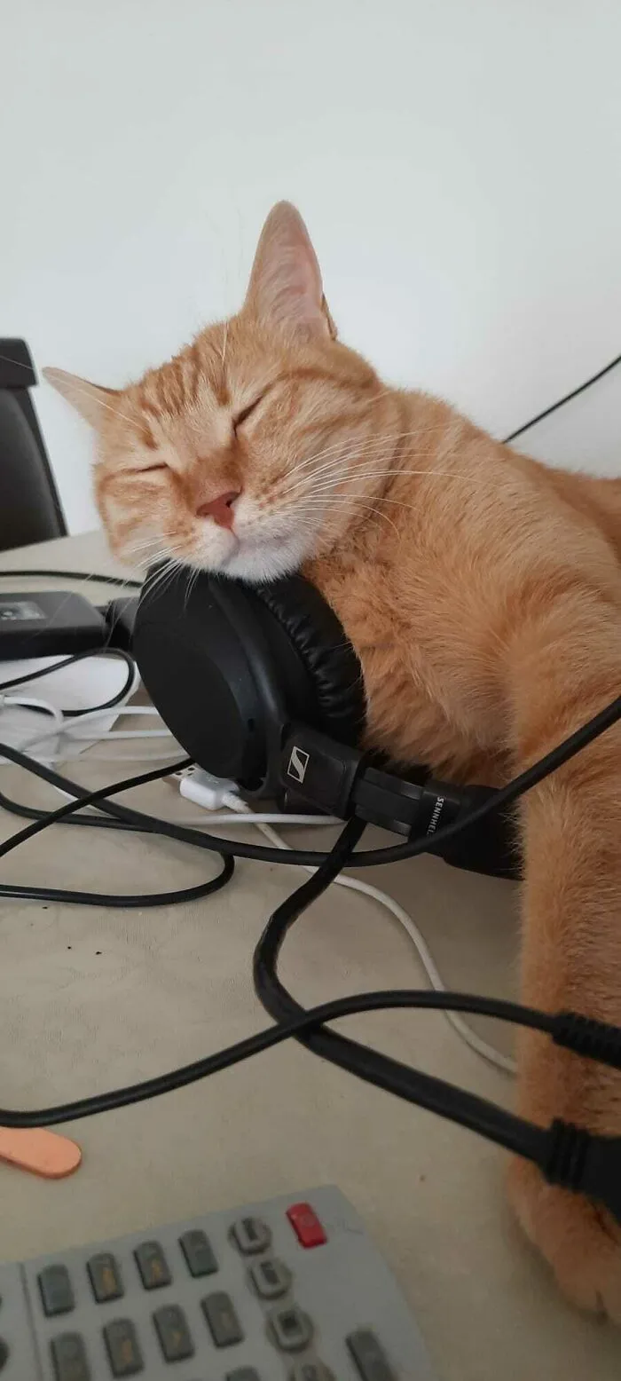 Can't Sleep Without Music :)