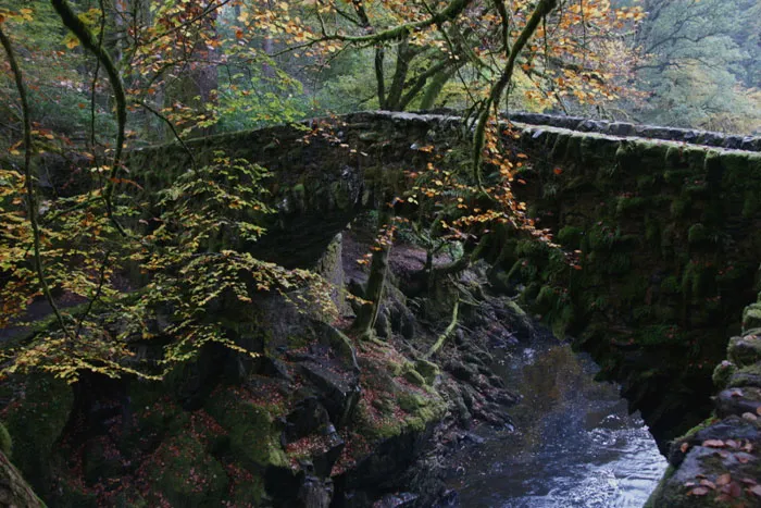 Hermitage Bridge, Dunkeld, Scotland