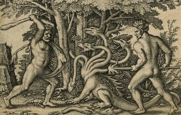 Hydra