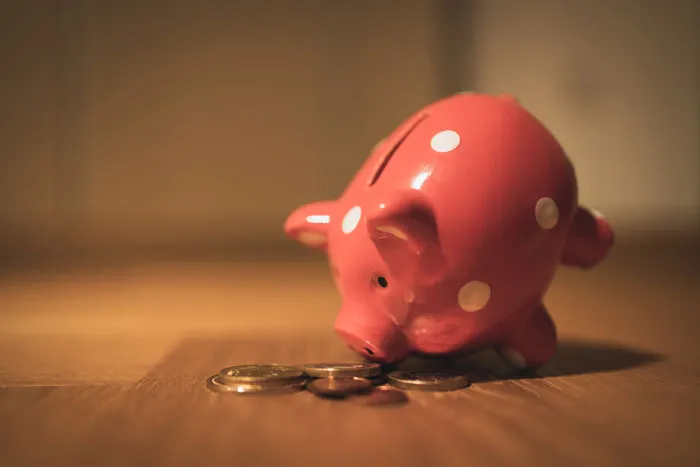 Put Some Of Your Earnings Into Savings Or Investments