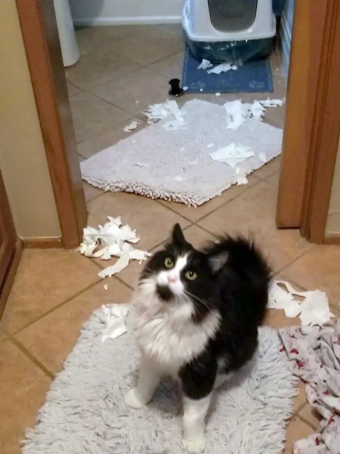 I Left For One Night