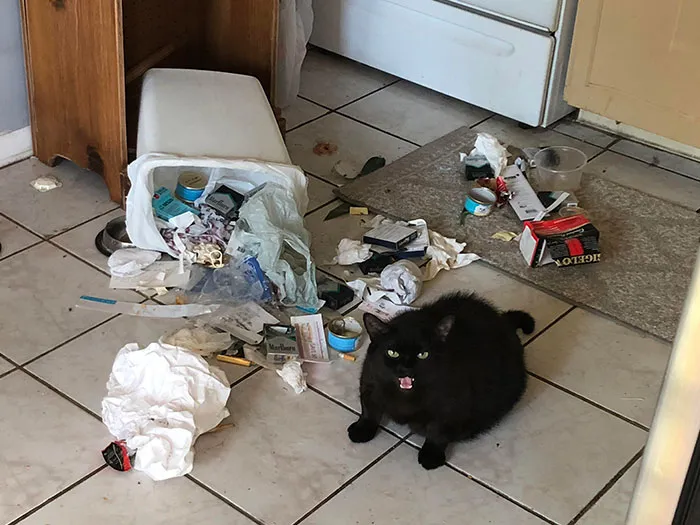 He’s On A Diet. It’s Not Going Great