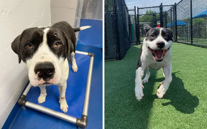 From Stoic To Smiley