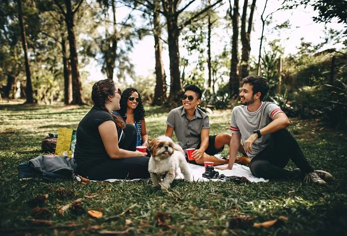 Go On The Perfect Picnic
