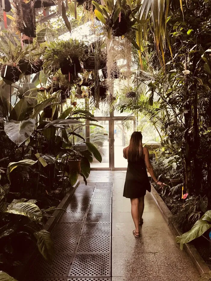 Visit A Botanical Garden