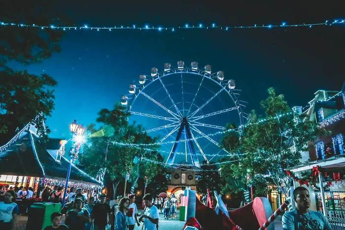Plan A Trip To An Amusement Park