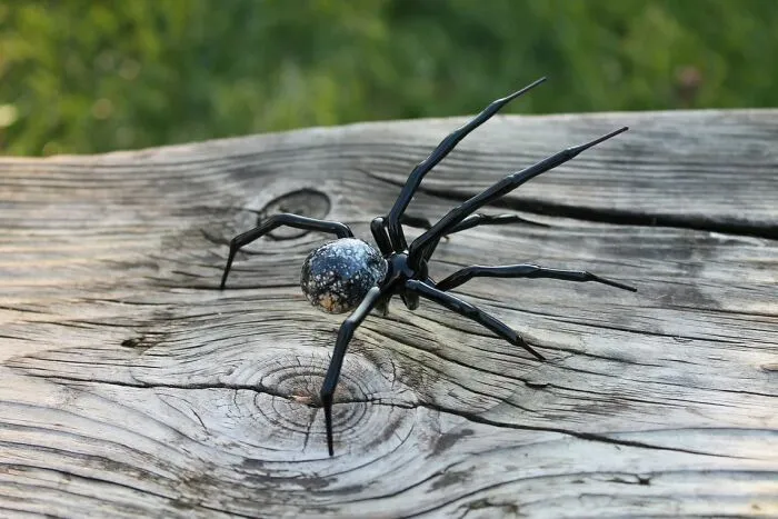 I Am A Ukrainian Artist Who Creates Glass Figures Of Spiders In The Lampwork Technique (8 Pics)
