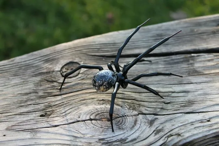 I Am A Ukrainian Artist Who Creates Glass Figures Of Spiders In The Lampwork Technique (8 Pics)