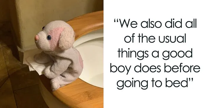 My Daughter Went To College And Left Her Childhood Toy At Home, So I Took These 40 Photos To Cheer Up And Fight The 'Empty Nest Syndrome'