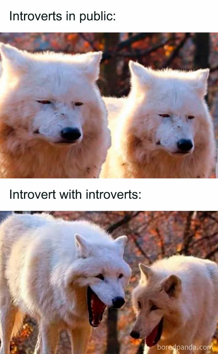 Didn\'t know I needed this until now