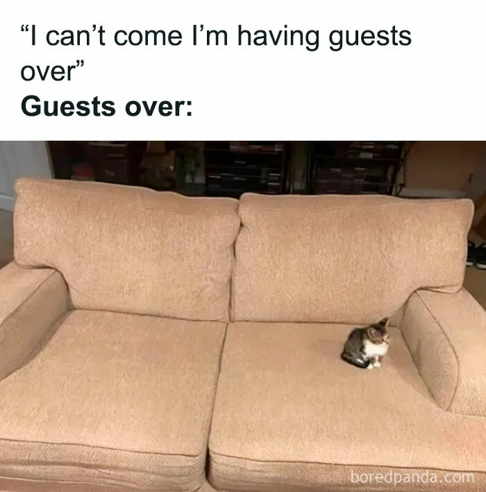 Wait, did that just happen?