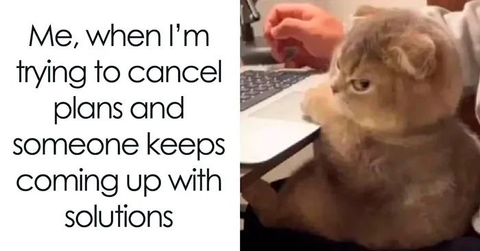 "Introvert Memes": 50 Of The Funniest Jokes That Sum Up Life As An Introvert