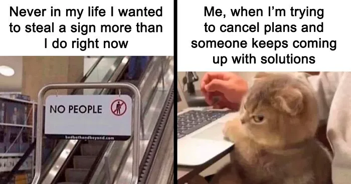"Introvert Memes": 50 Of The Funniest Jokes That Sum Up Life As An Introvert