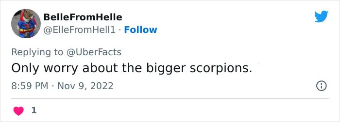 20 Popular Survival Myths That Not Only Are Wrong But Also Dangerous, Shared By People On Twitter