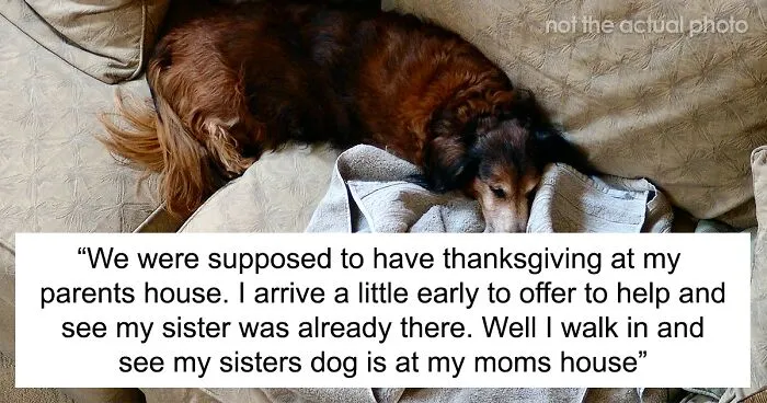 Woman Knows Her Sister's Dog Hair Frequently Ends Up In Food, So She Turns Around And Leaves Thanksgiving Dinner When She Sees It There