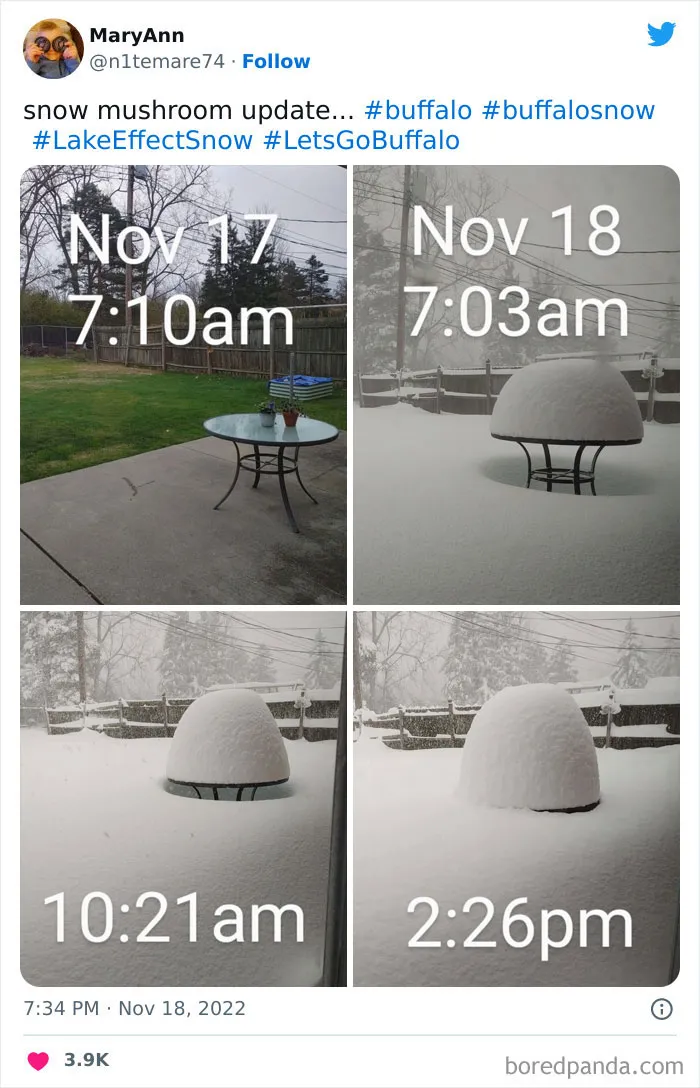 Snow-Buffalo-New-York-2022