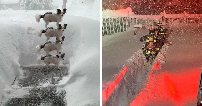 People Are Posting Wild Photos As Buffalo, New York, Digs Up From 6 Feet Of Snow