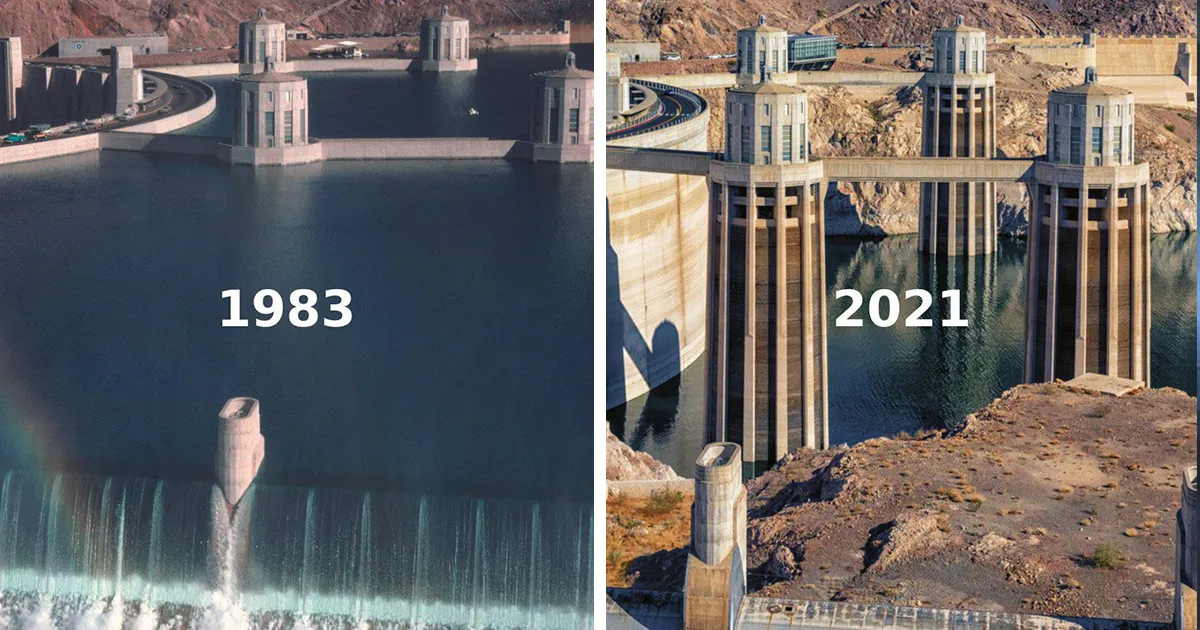 30 Fotos aterradoras de objetos artificiales sumergidos que dan miedo (nuevas imágenes)