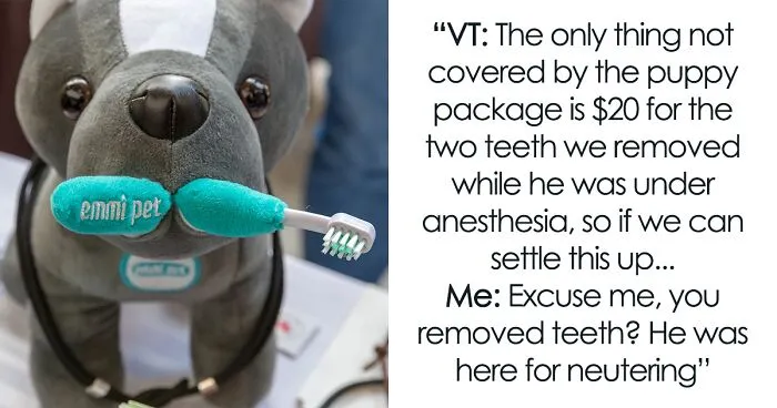 “I’m Upset That They Couldn’t Explain That Decision”: Guy Is Livid After Learning Vet Did A Surprise Tooth Extraction During His Pup’s Neutering