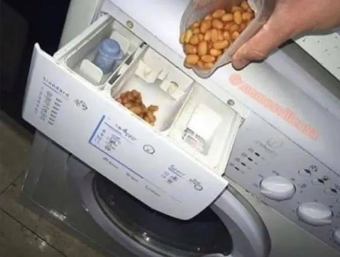 32 "Imágenes malditas" que son pura extravagancia visual