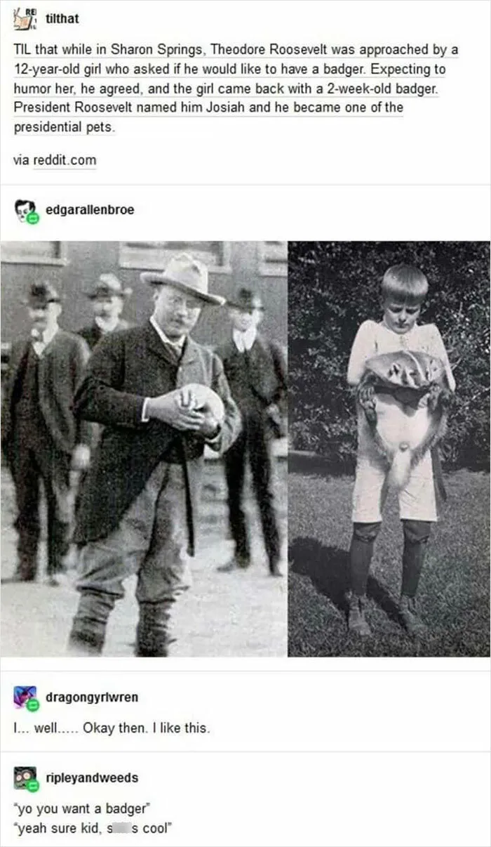 37 Times When People On Tumblr Pointed Out Historical Facts In The Most Entertaining Ways