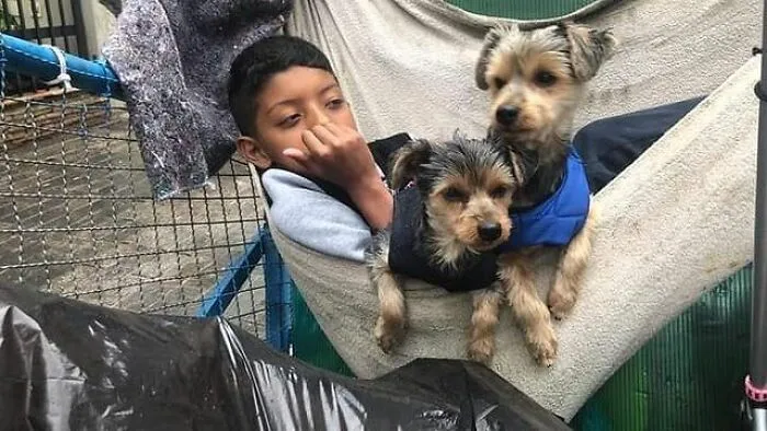 The Most Sincere Love Comes From Animals, And Here Are 60 Heartwarming Pictures Of Homeless People With Their Pets In Brazil (New Pics)