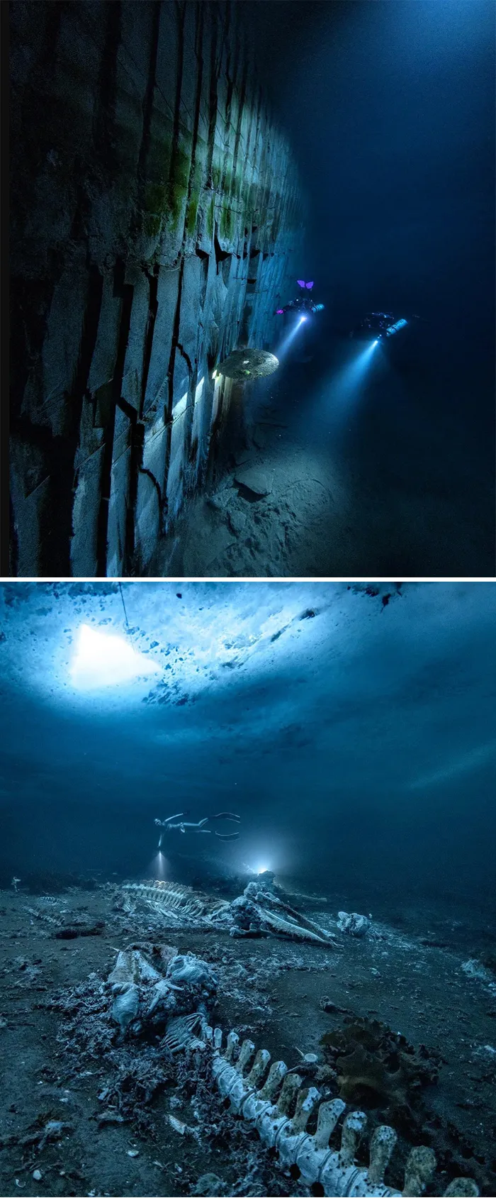 Deep Blue Mysteries