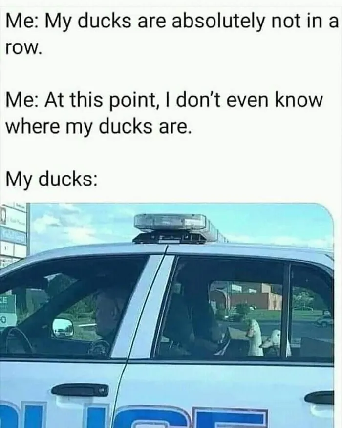 50 Funny And Relatable Posts From "Middle Aged Humor" That Only Older Generations Will Probably Understand