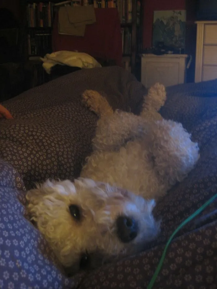 Flöki, Seconds Before Sleeping