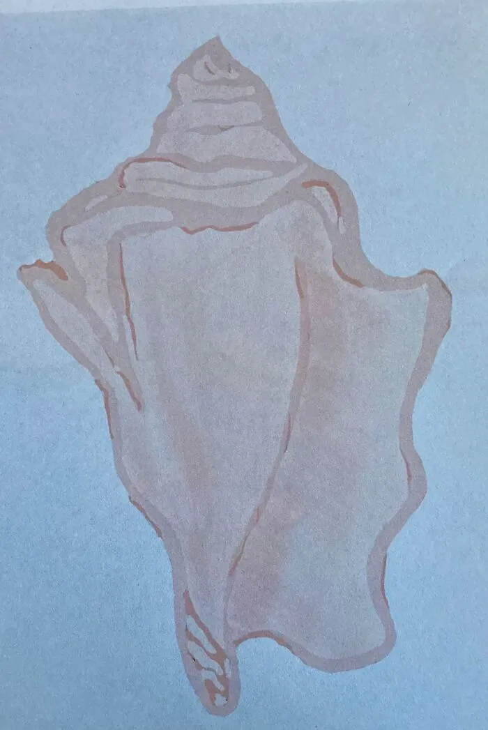 I Drew A Shell A While Back. This Is It Printed Out