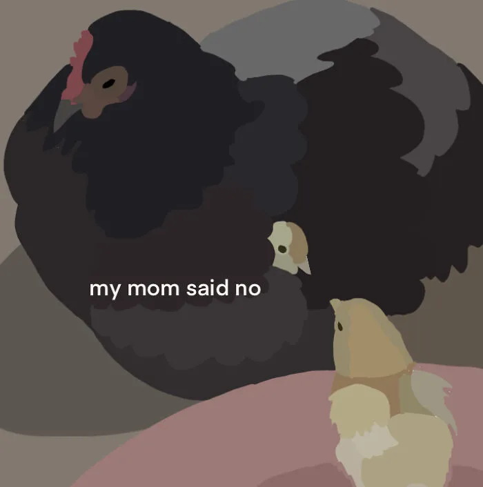 "My Mom Said No"