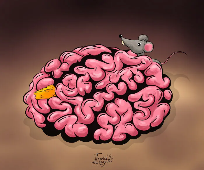 I Have Illustrated Human Brains (8 Pics)