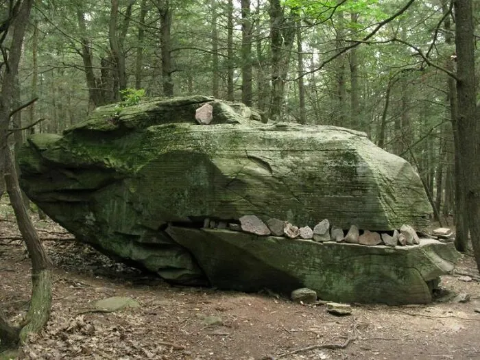 Un amigo mío encontró este dinosaurio en una excursión el otro día