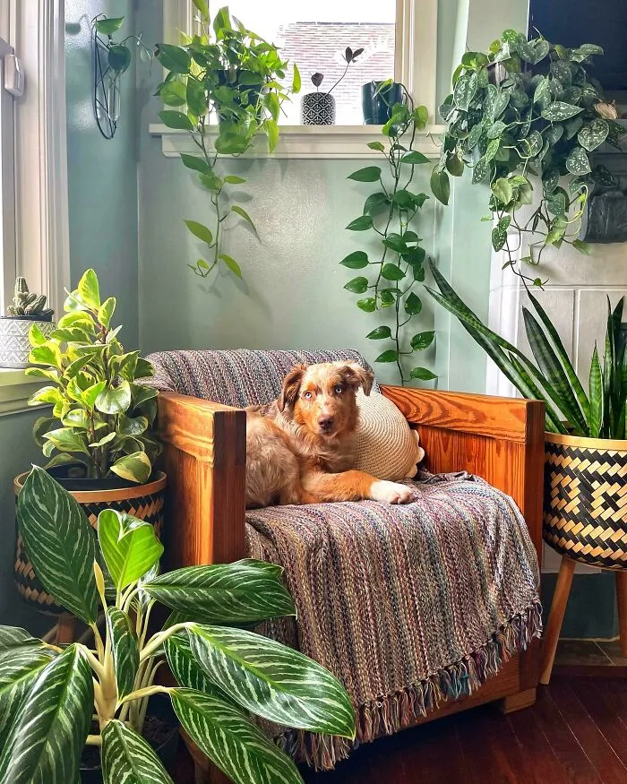 Bruce’s Reading Nook
