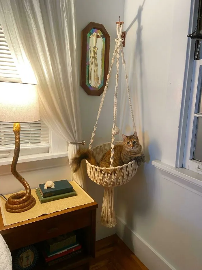 My Girl Ruby Enjoying Her New (Female) Living Space
