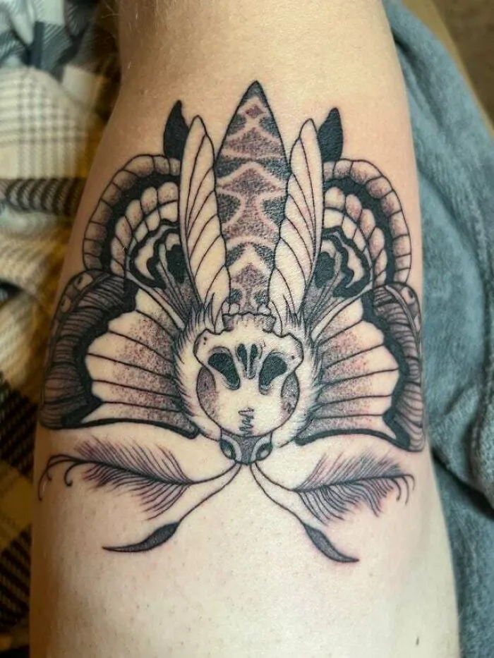 Trippy tattoo of a moth with a skull on an arm, showcasing intricate line work and shading.