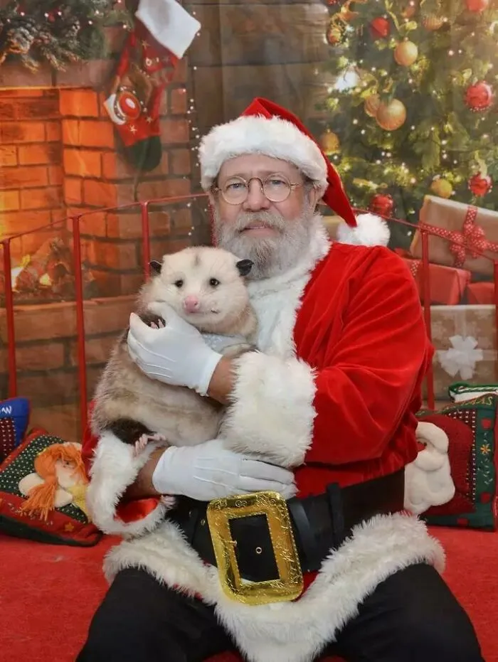 Blessed Christmas